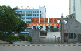 广西壮族自治区⌒　百色民族高中